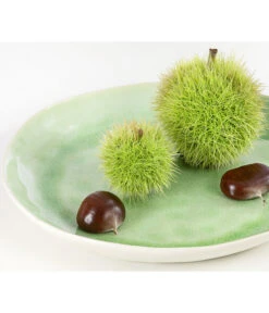 Esskastanie 'Bouche De Betizac' 9 Esskastanie 'Bouche De Betizac' -Gartenbedarfsgeschäft 7621998 PR DE 002 CastaneaSativaBetizacEsskastanieDehnerExpressHerzig