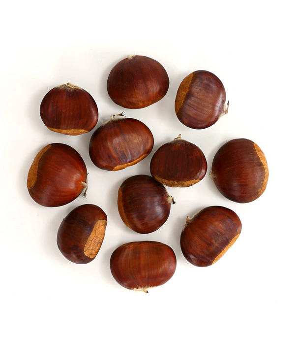 Esskastanie 'Bouche De Betizac' 6 Esskastanie 'Bouche De Betizac' – Bild 4