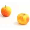 Winterapfel 'Goldparmäne' 2 Winterapfel 'Goldparmäne' -Gartenbedarfsgeschäft 7654999 WE DE 005 ApfelGoldparmaeneDehnerExpressHerzig
