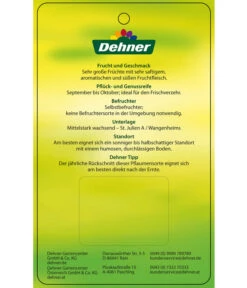 Dehner Pflaume 'Königin Viktoria' -Gartenbedarfsgeschäft 7702558 PflaumeKoeniginVictoria Etikett 2