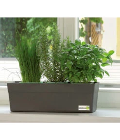GREENBAR® Kräuterkasten, Ca. B48/H15,5/T16 Cm -Gartenbedarfsgeschäft 7750482 PR MO 001 GreenbarAnleitungIndoorSeidl