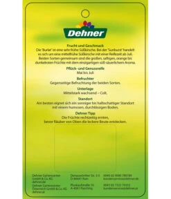 Kirschen-Duo 'Sunburst/Burlat' -Gartenbedarfsgeschäft 7760713 Suesskirschen DuoSunburstBurlat Etikett 2