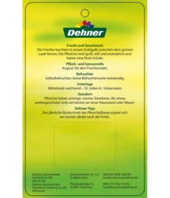 Pfirsich 'Suncrest' -Gartenbedarfsgeschäft 7760754 GelbfleischigerPfirsichSuncrest Etikett 2