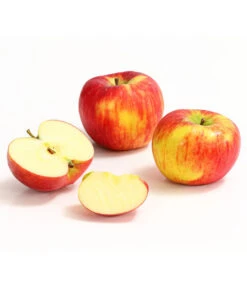 Herbstapfel 'Topaz' -Gartenbedarfsgeschäft 7763931 WE DE 008 ApfelTopazDehnerExpressHerzig