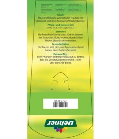 Tafeltraube 'Erdbeertraube' -Gartenbedarfsgeschäft 7773708 TafeltraubeErdbeertraube Etkett 2