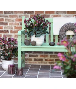 Schneerose 'Ice N' Roses® Red' - Helleborus Gold Collection® 9 Schneerose 'Ice N' Roses® Red' - Helleborus Gold Collection® -Gartenbedarfsgeschäft 8010969 WE MO 001 HelleborusWeinrotDehnerExpressHerzig