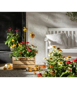 Sonnenhut -Gartenbedarfsgeschäft 8012619 WE MO 001 EchinaceaPurpurea3LSonnenhutThemaBieneEchinaceamitPeople GC10 2020 01