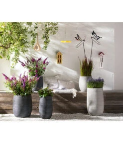 Dehner Gourmet Garten Strauchbasilikum 'Magic Blue' -Gartenbedarfsgeschäft 8092108 PR MO 005 LavendelLavandulaAngustifoliaT13Schmetterlingsgarten Rosen usw GC14 2020