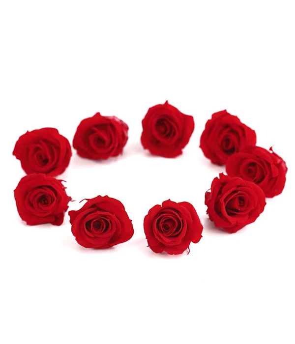 Longlife-Rose, Ca. Ø3 Cm 3 Longlife-Rose, Ca. Ø3 Cm