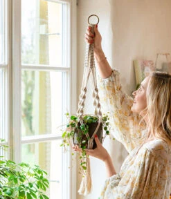 Peperomie - Peperomia 'Pepperspot' -Gartenbedarfsgeschäft 8252173 WE MO 001 PeperomiePepperspotMakrameeAmpel