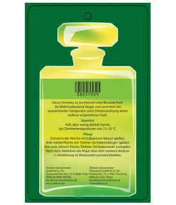 Duft-Orchidee - Phalaenopsis-Hybride 'Flacon Solaire' -Gartenbedarfsgeschäft 8257909 Etikett2 PhalaenopsisFlaconSolaire 02072018