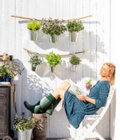 Dehner Gourmet Garten Strauchbasilikum 'Magic Blue' -Gartenbedarfsgeschäft 8610123 WE MO 001 Oregano Kraeuter 1