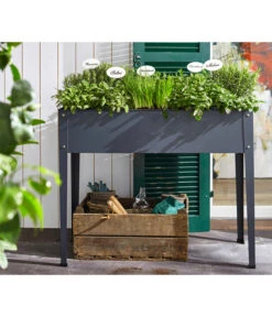 Bio Oregano 8 Bio Oregano -Gartenbedarfsgeschäft 8610206 8609984 8610099 8609935 8610123 8610271 WE MO 002 RosmarinItalienKraeuter SalbeiMelisseMinzeMajoranOreganum