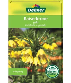 Kaiserkrone -Gartenbedarfsgeschäft 8664674 KaiserkroneLutea Etikett 01
