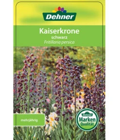 Persische Kaiserkrone -Gartenbedarfsgeschäft 8664708 KaiserkroneSchwarz Etikett 1