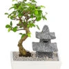 Bonsai Mit Buddha/Pagode, Verschiedene Sorten -Gartenbedarfsgeschäft 8686669 PR FS 001 BonsaiMixMitBuddhaPagodeT18DehnerExpressHerzig