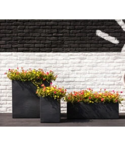 Portulakröschen -Gartenbedarfsgeschäft 8817199 8827271 WE MO 001 PortulacaT11Portulakroeschen