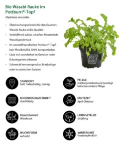Bio Wasabi Rauke Im Pottburri®-Topf -Gartenbedarfsgeschäft 8830291 WE IG 001 BioWasabiRaukeimPottburriTopf