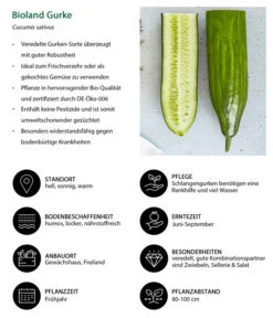 Bioland Gurke, Veredelt -Gartenbedarfsgeschäft 8830853 WE IG 001 BiolandGurke