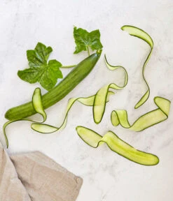 Bioland Gurke, Veredelt -Gartenbedarfsgeschäft 8830853 WE MO 001 SchlangengurkeveredeltRenner