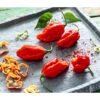 Chili 'Carolina Reaper' -Gartenbedarfsgeschäft 8831133 WE MO 001 ChiliCarolinaReaper