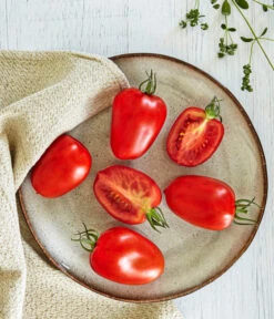 Bioland Eiertomate -Gartenbedarfsgeschäft 8831463 WE MO 001 BiolandEiertomate