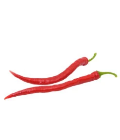 Milde Peperoni -Gartenbedarfsgeschäft 8831695 WE FS 002 mildepeperoni