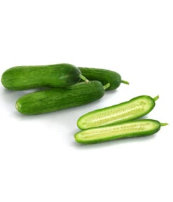 Snackgurke 9 Snackgurke -Gartenbedarfsgeschäft 8833063 8830960 WE DE 001 GourmetGartenSnackgurkeVeredelt