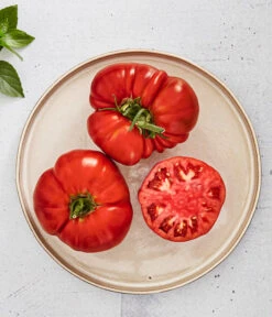 Bioland Fleischtomate 9 Bioland Fleischtomate -Gartenbedarfsgeschäft 8842627 WE MO 001 BiolandFleischtomate