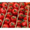 Bioland Cherrytomate -Gartenbedarfsgeschäft 8842635 WE DE 001 Bio Cherrytomate