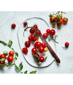 Bioland Cherrytomate -Gartenbedarfsgeschäft 8842635 WE MO 002 Bio Cherrytomate