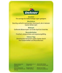 Edelflieder 'Sensation' -Gartenbedarfsgeschäft EdelFliederSensation Etikett 2