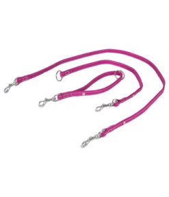Das Lederband Universal-Hundeleine Style Barcelona Rose-Violet