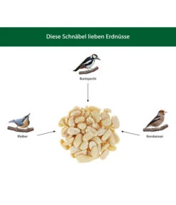 Dehner Natura Wildvogefutter Halbe/Ganze Erdnüsse, 5 L -Gartenbedarfsgeschäft WE IG 001 DehnerNaturaWelcherVogelfrisstErdnuesse