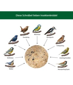 Dehner Natura Insekten-Knödel, Ohne Netz, 100 Stk. Je 100 G -Gartenbedarfsgeschäft WE IG 001 DehnerNaturaWelcherVogelfrisstInsektenknoedel