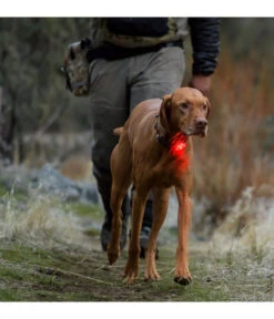 RUFFWEAR® Hunde-Sicherheitsleuchte THE BEACON™ -Gartenbedarfsgeschäft X004449468 WE M 002 RUFFWEARHundeSicherheitsleuchteTHEBEACON
