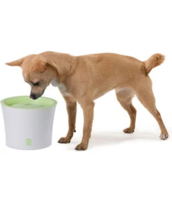 Catit Fresh & Clear Trinkbrunnen, 3 L -Gartenbedarfsgeschäft X005335450 BildM 001 CatitTrinkbrunnenHund